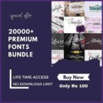 Premium Fonts