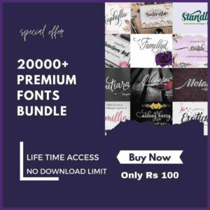 Premium Fonts